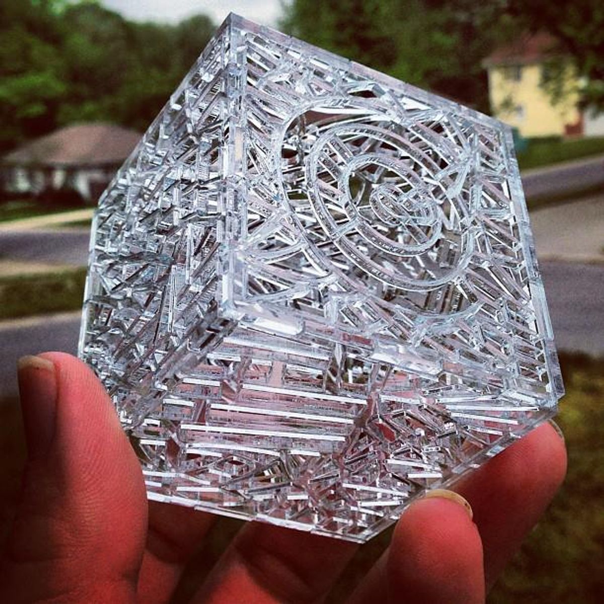 Reticulated Box - Clear