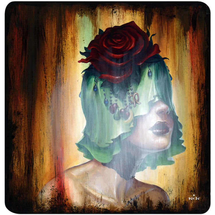 Thinly Veiled Contempt by N.C. Winters
