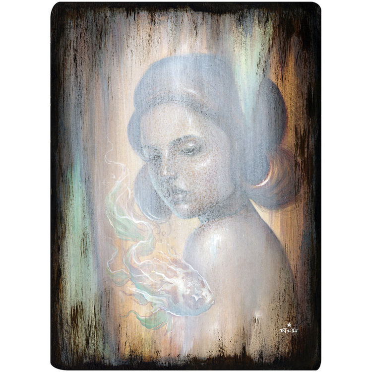 Veiled Harmony by N.C. Winters