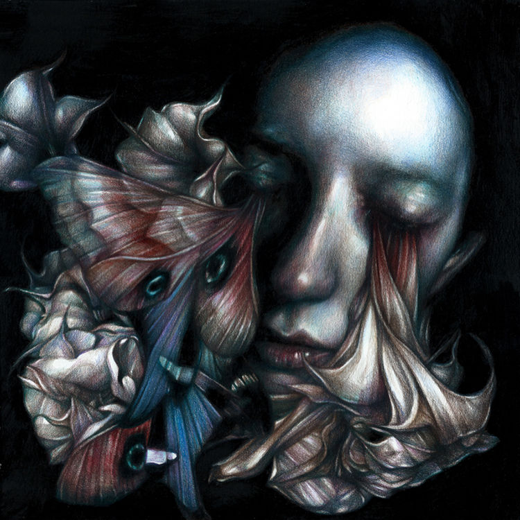 Iris Flooding by Marco Mazzoni