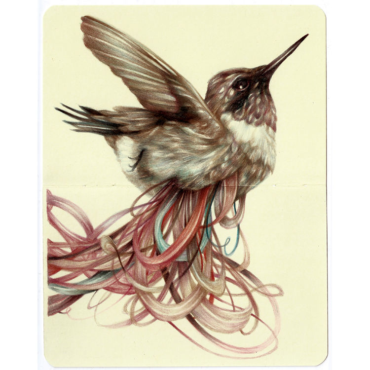 The Loser by Marco Mazzoni