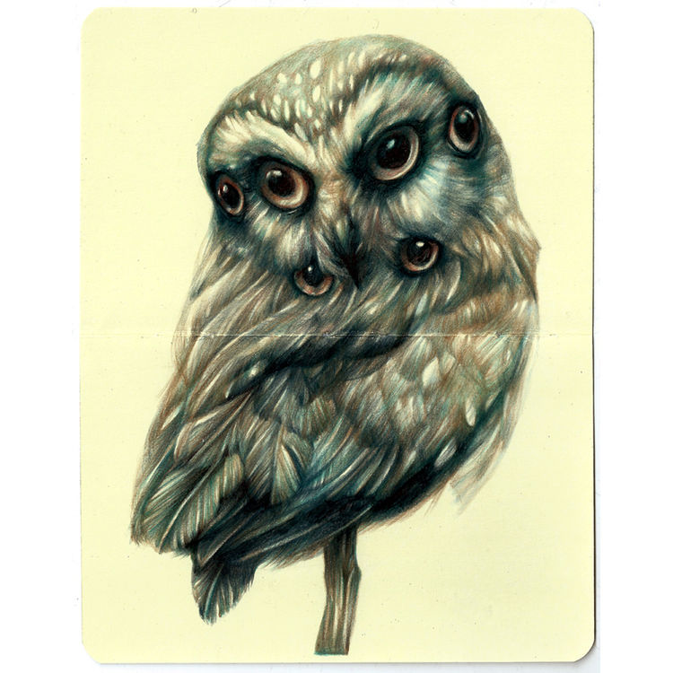 The Judge by Marco Mazzoni