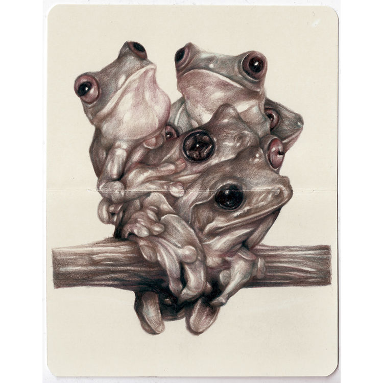 The Viewers by Marco Mazzoni