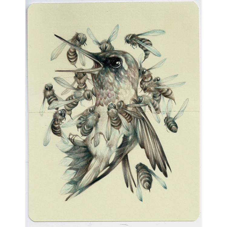 This Means War by Marco Mazzoni