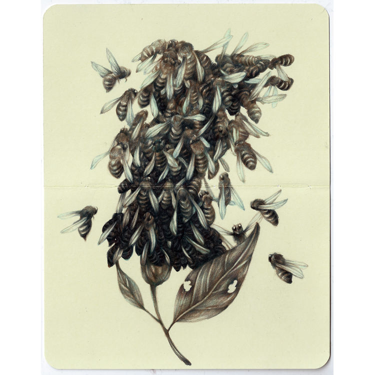 Famine by Marco Mazzoni