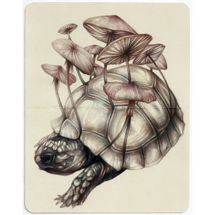 Darwin Moving by Marco Mazzoni