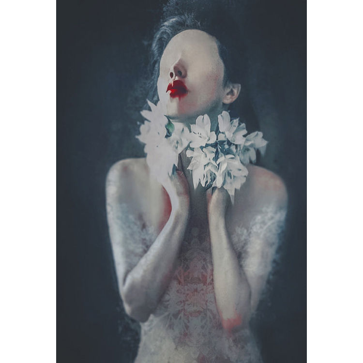 Novocaine by Leslie Ann O'Dell