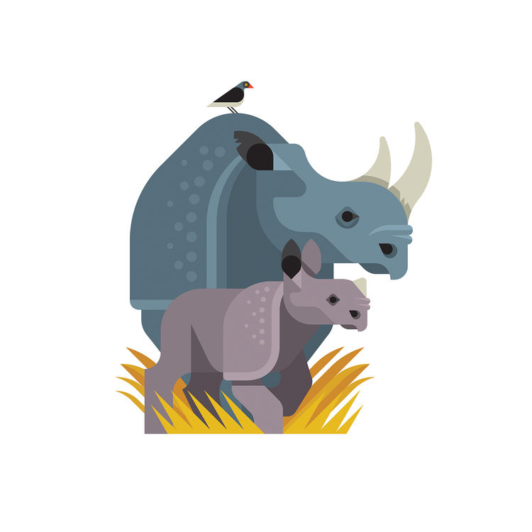 Black Rhino's Forge Ahead by Always With Honor