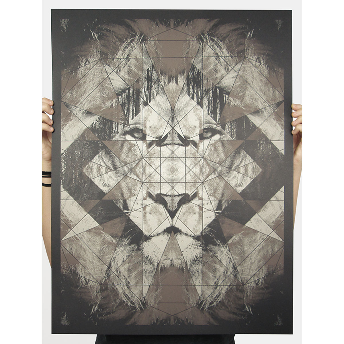 The mechanics of a king - brown