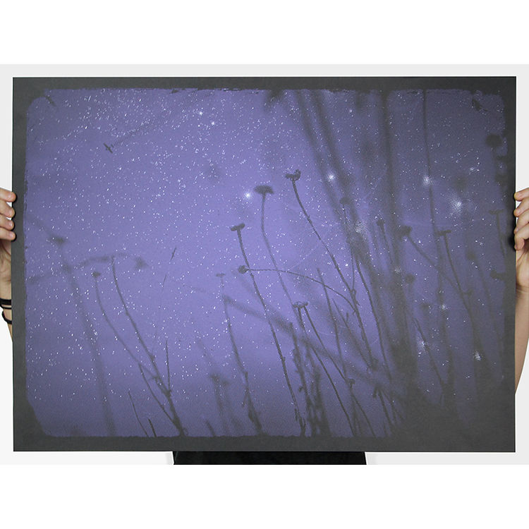 "I saw in my dream both beauty and despair" by Anonymous Ink & Idea