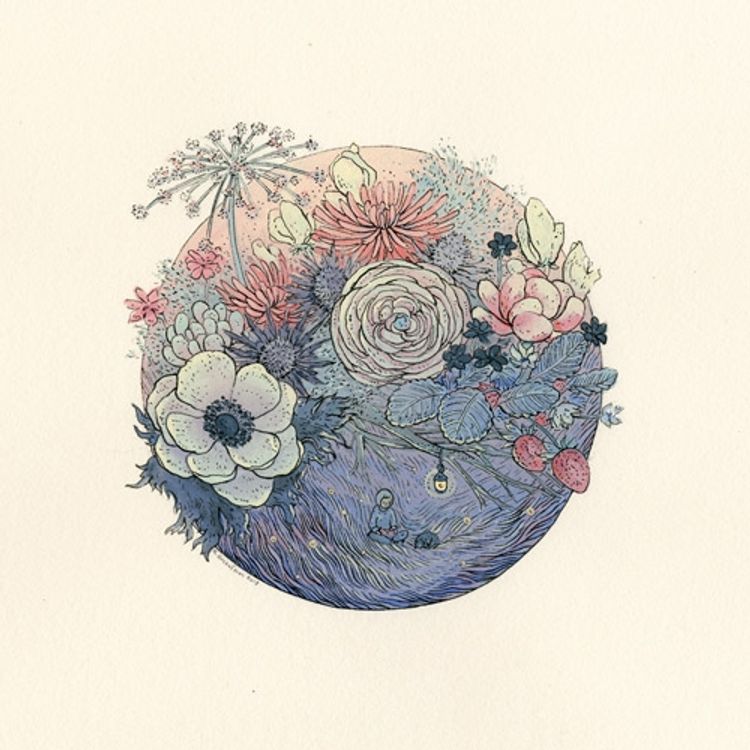 Night Blooms by Nicole Gustafsson