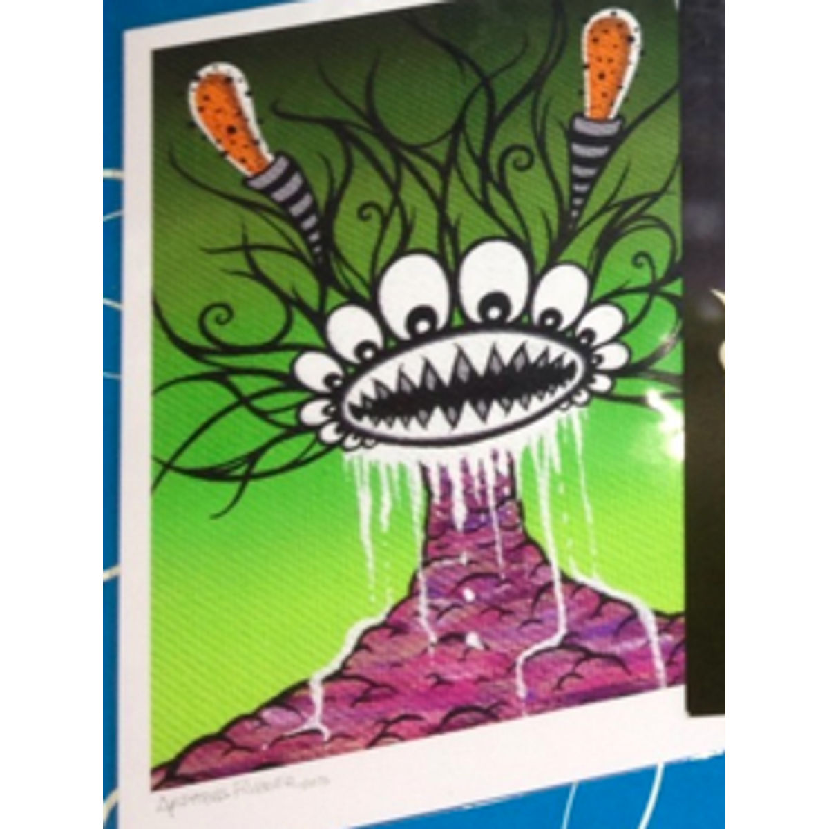 RUCK DUNNY LIMITED (Positive)