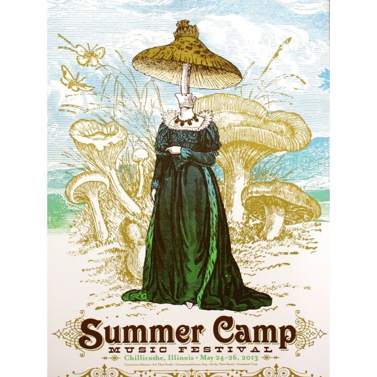 Summer Camp Music Festival – Chillichothe, IL 2013 by Nate Duval