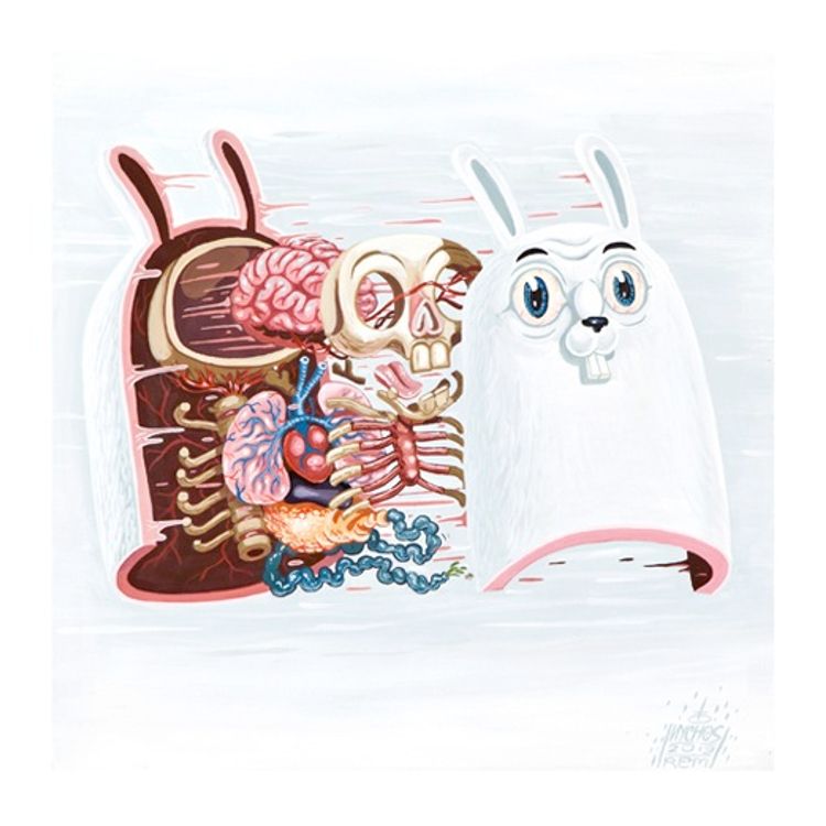 Dissection Of The White Rabbit by Nychos