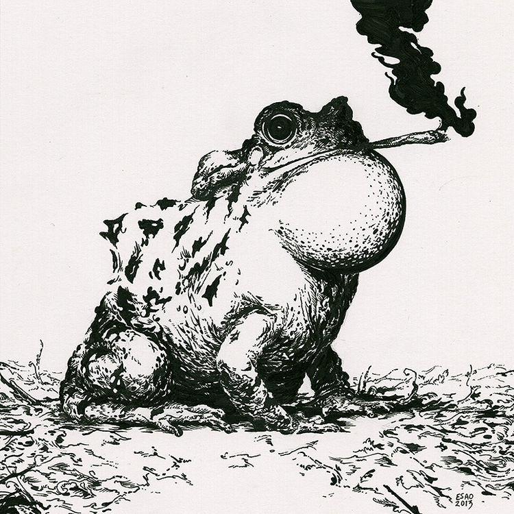 Smoking Toad by Esao Andrews
