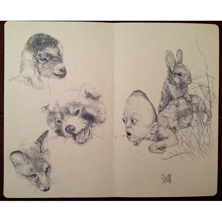 Animal Study by Kikyz1313