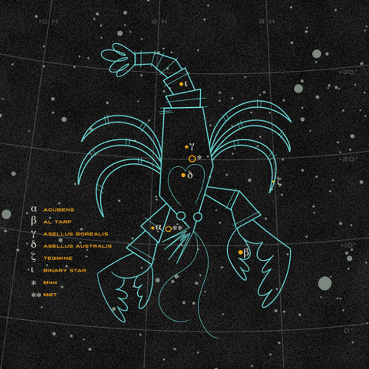 Cancer by Andrew Kolb