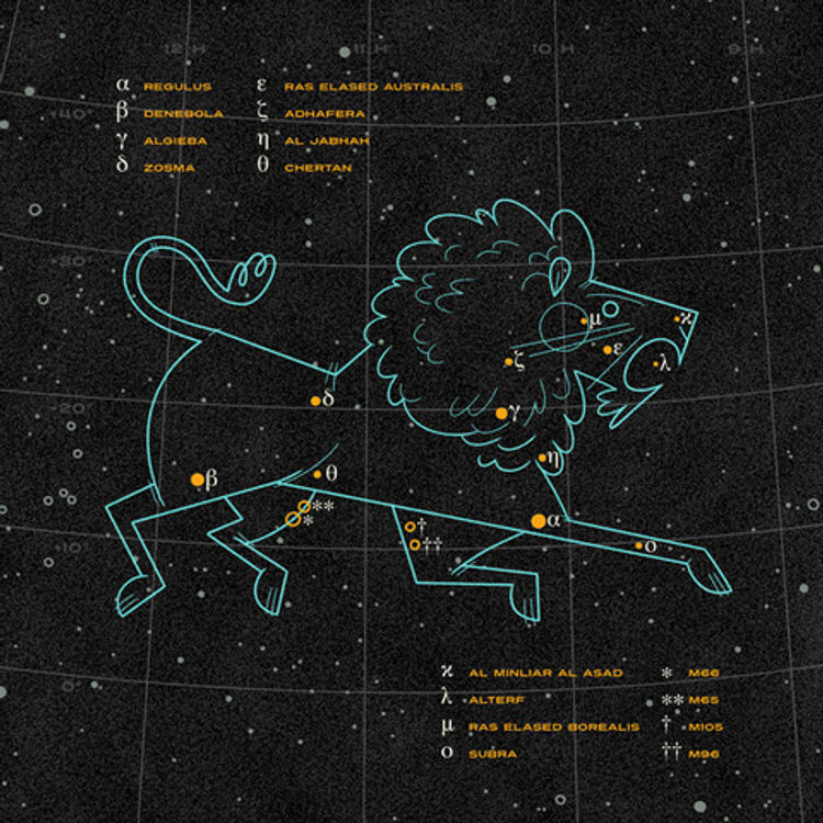 Leo by Andrew Kolb