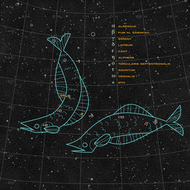 Pisces by Andrew Kolb