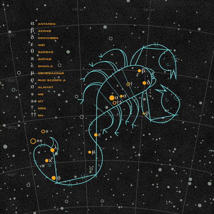 Scorpius by Andrew Kolb