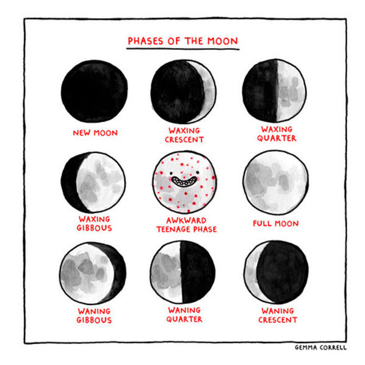 Phases Of The Moon by Gemma Correll