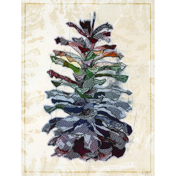 Pinecone by Landland