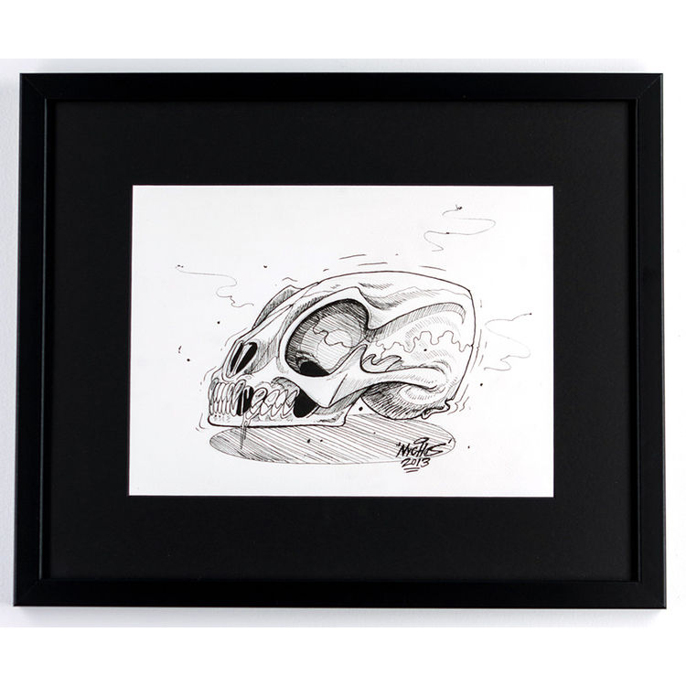 Skull of an Unknown Spieces by Nychos