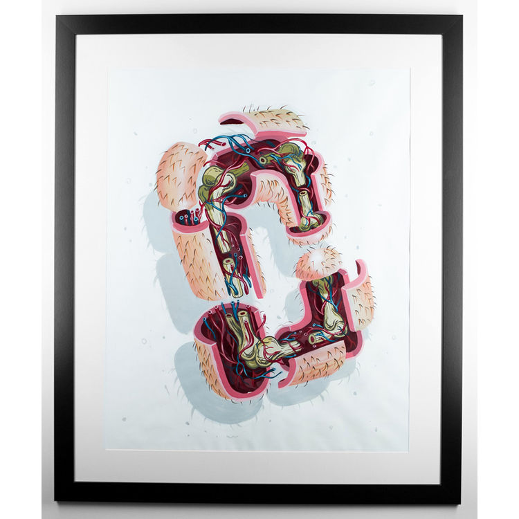 Dissection Of The Letter C by Nychos