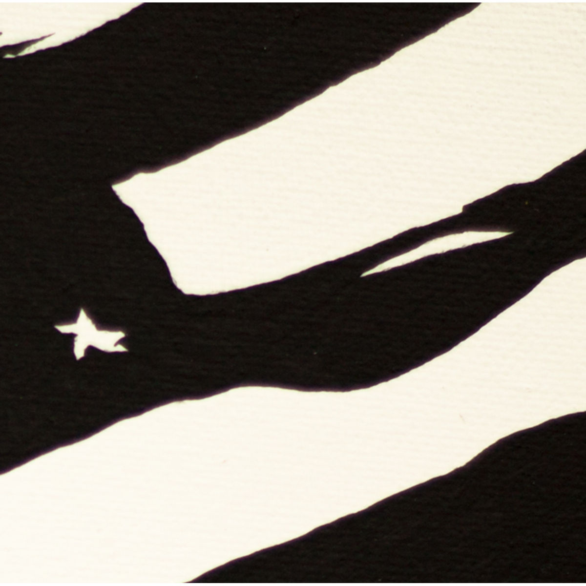 American Flag