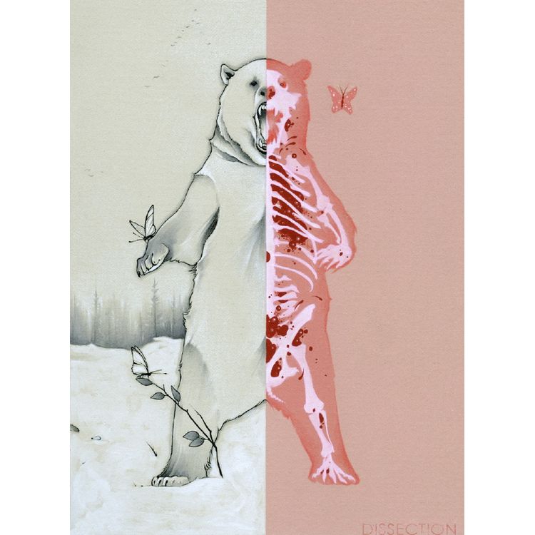 Grizzly Dissection by Chris B. Murray