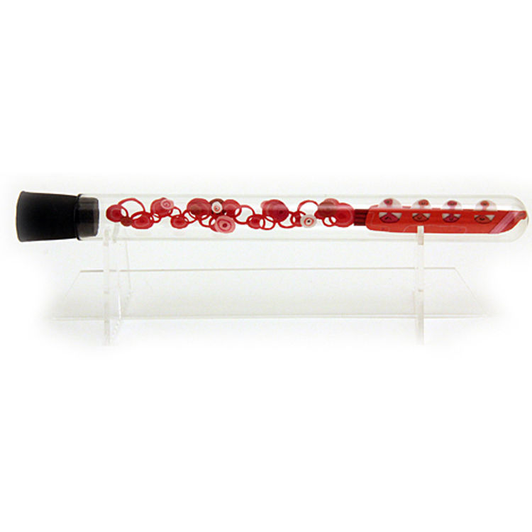 SPACE SHIP IN A BOTTLE - RED by Jared Andrew Schorr