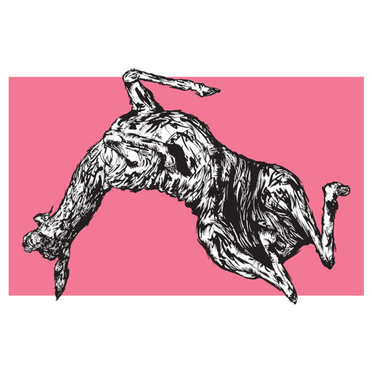 Pink Fawn by Mathew Curran