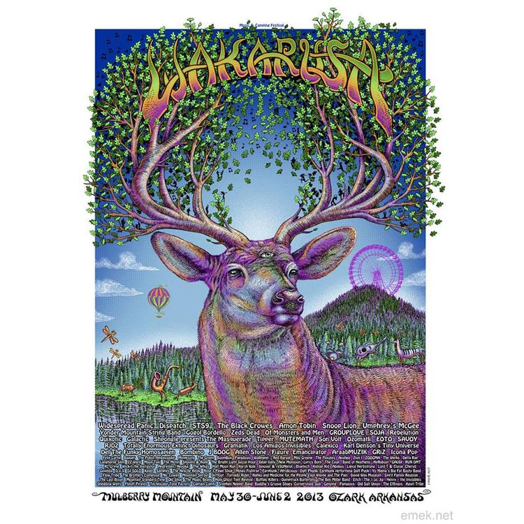 Wakarusa 2013 by Emek