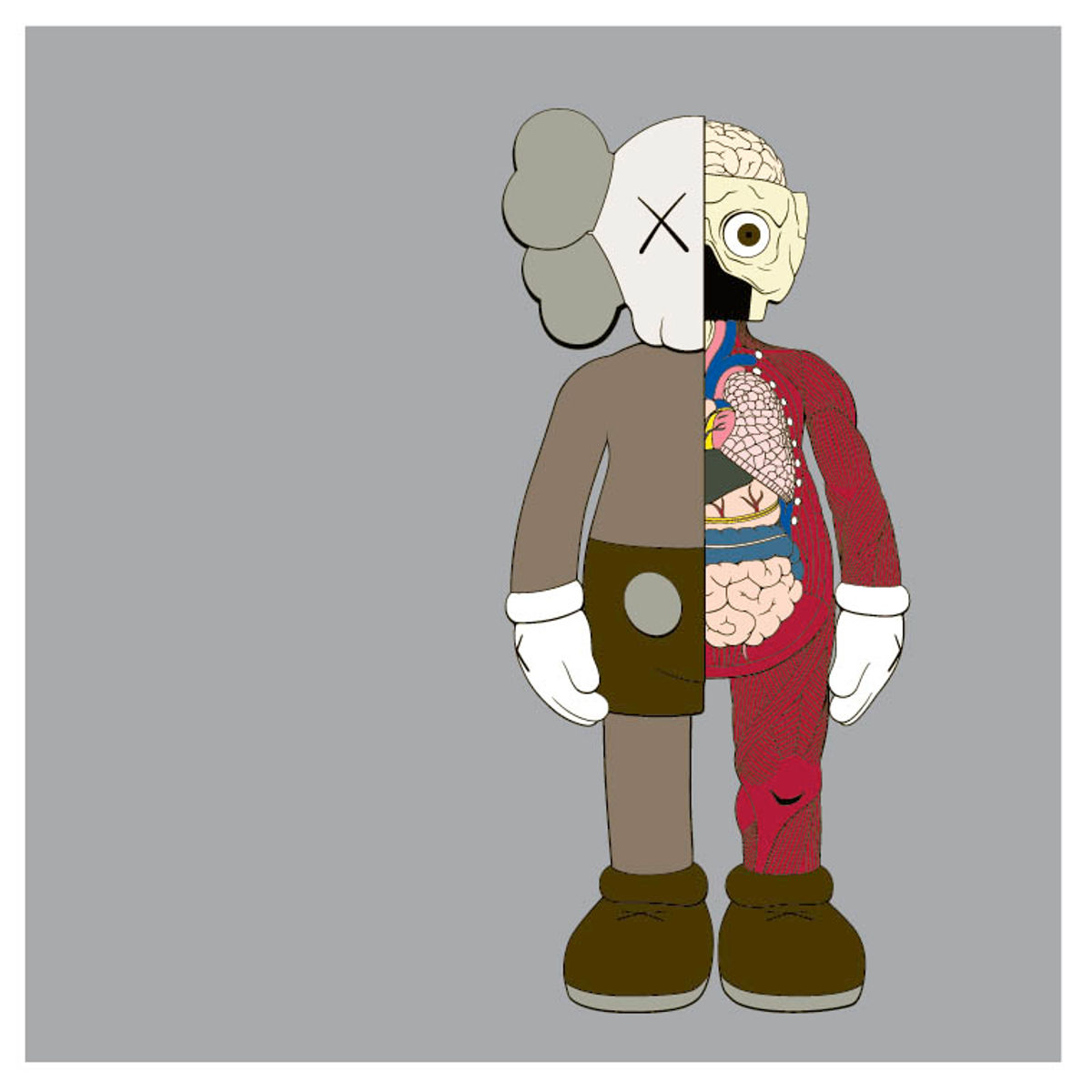 Brown Dissected Companion