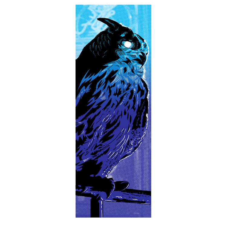 Owl by Tim Doyle