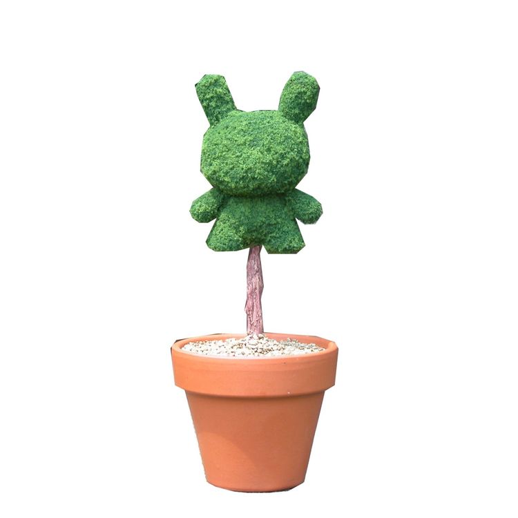 Topiary Dunny in pot. by TIBONG