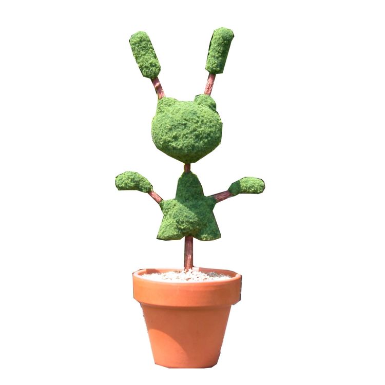 Separated Topiary Dunny in pot. by TIBONG