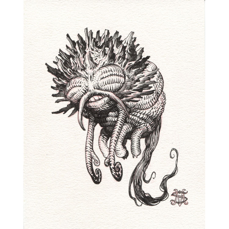 Barnabee by Stan Manoukian