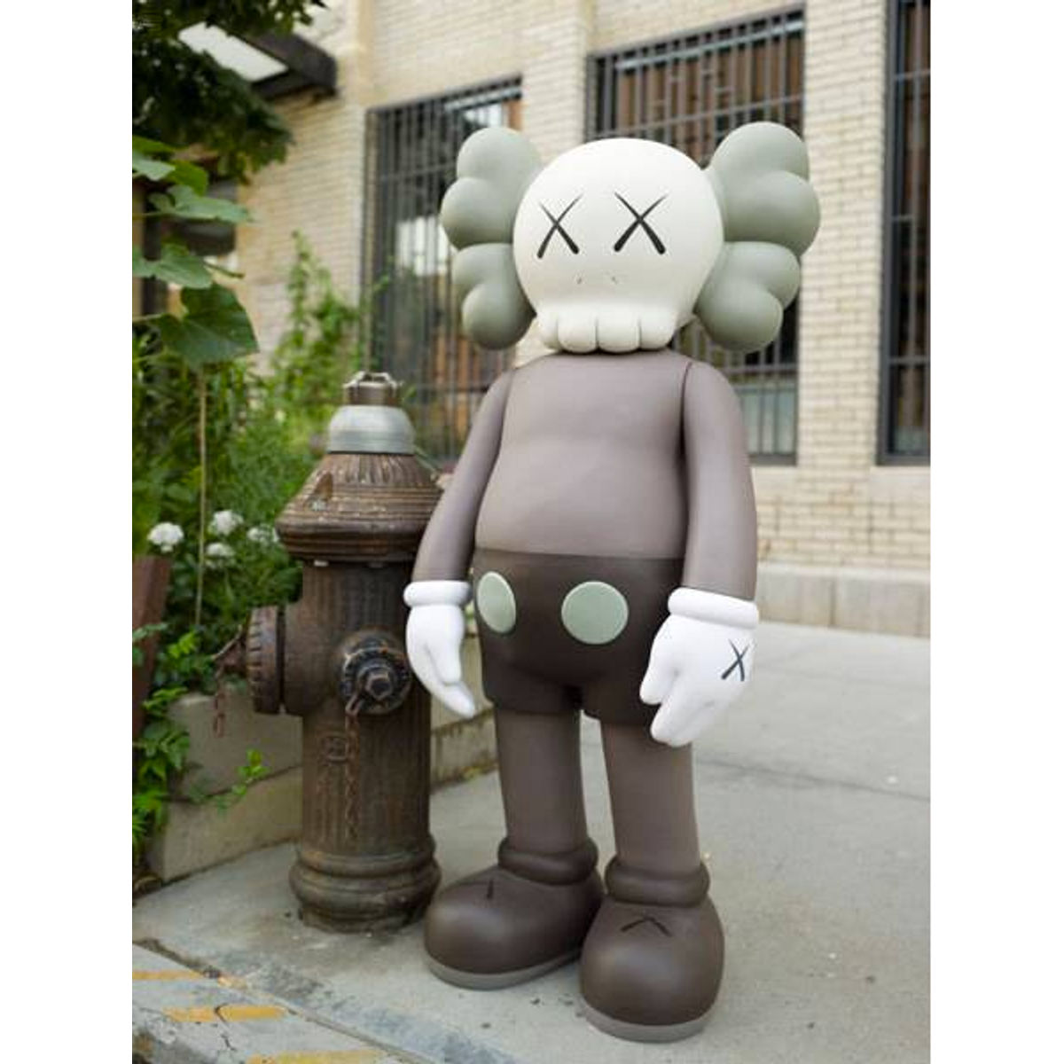 4-foot Brown 5YL Companion