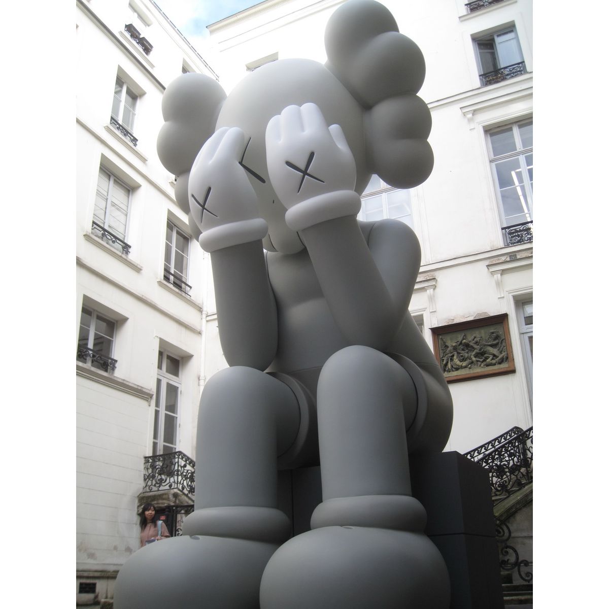 17ft Mono Passing Through Companion