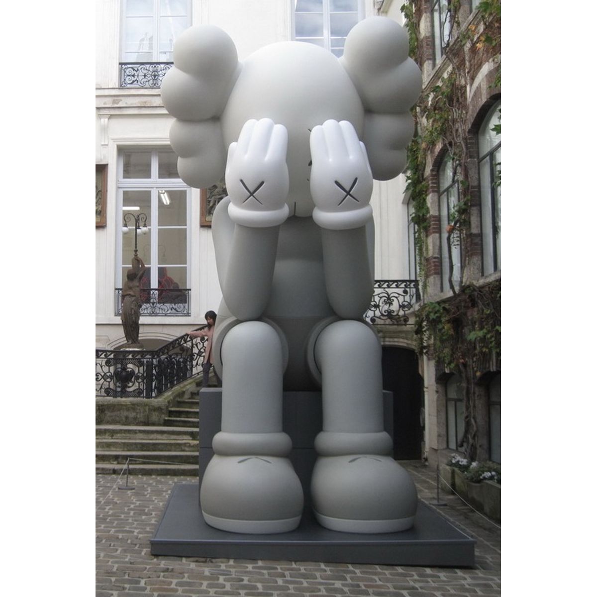 17ft Mono Passing Through Companion
