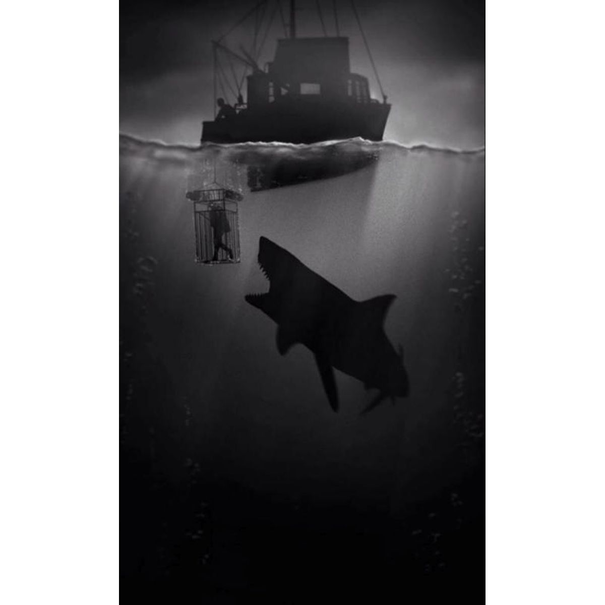 Jaws