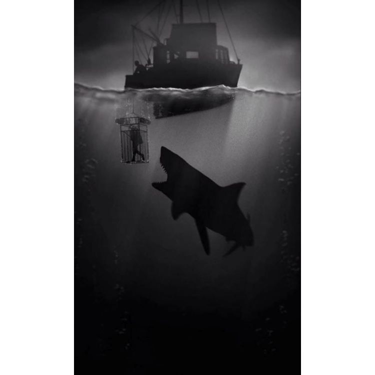 Jaws by Marko Manev