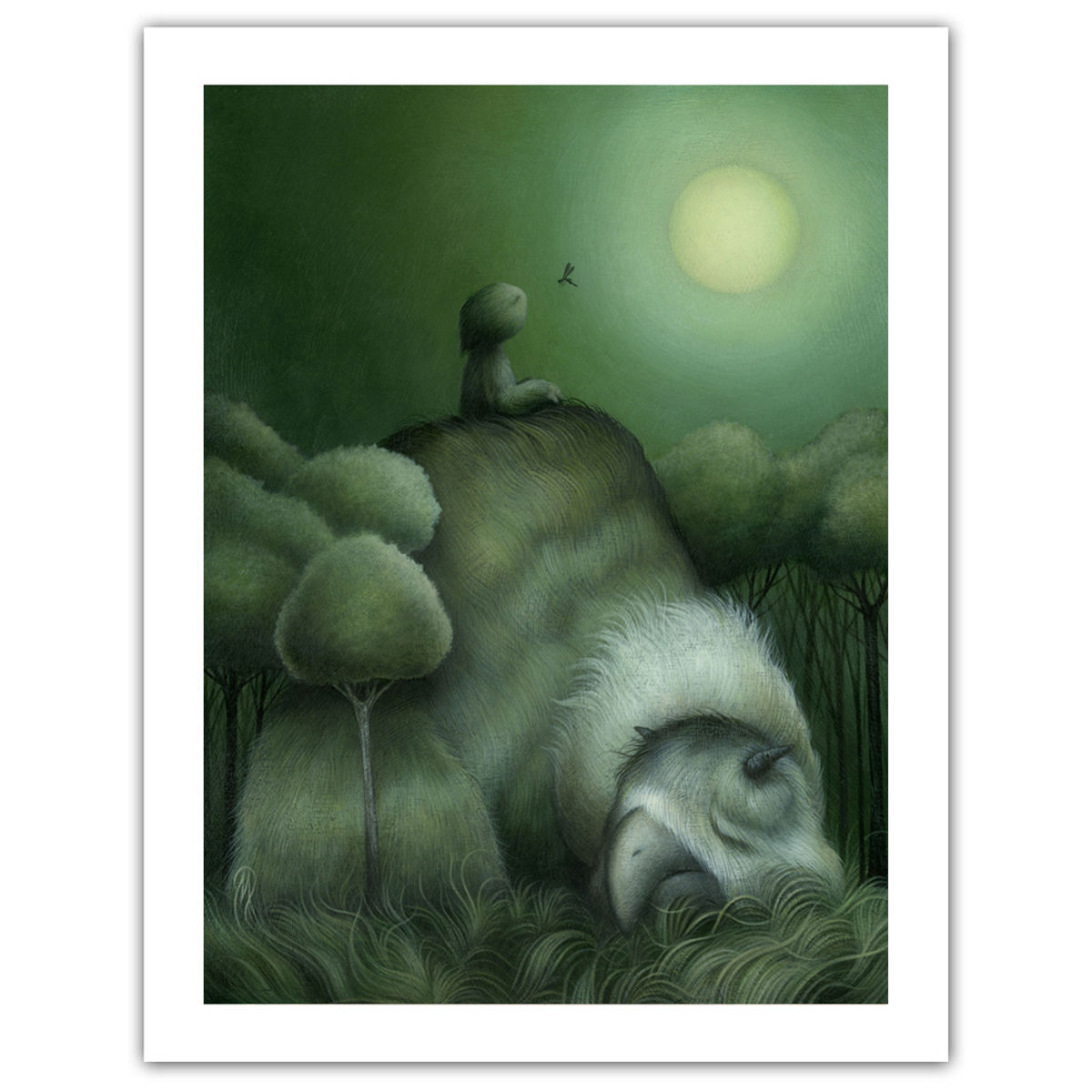 Dear Fellow Traveler