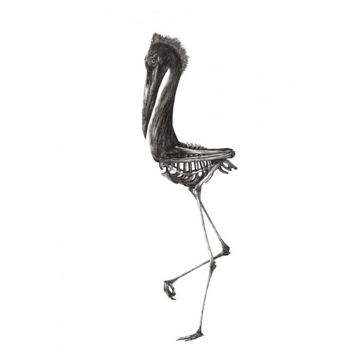 Heron by Theo Jan