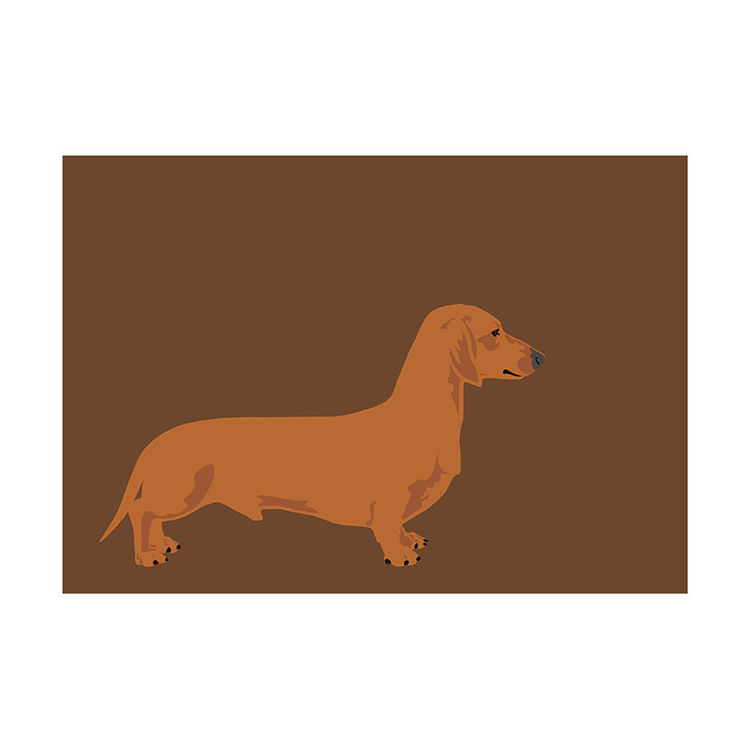 Wiener Dog by Ryan Kapp