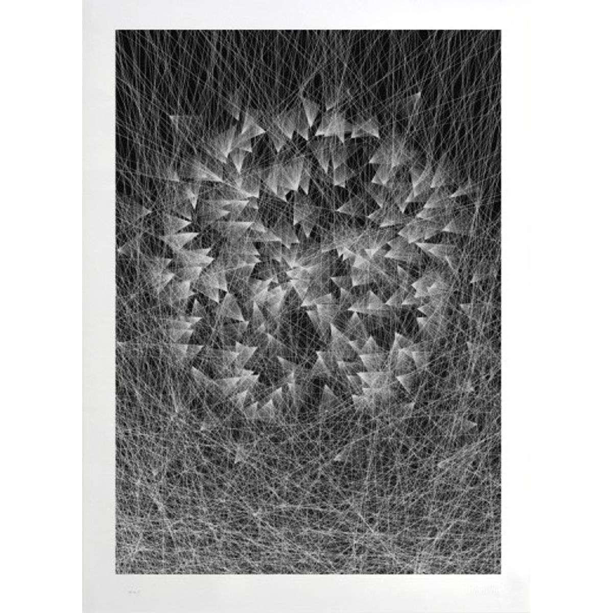Caught By The Nest Showprint