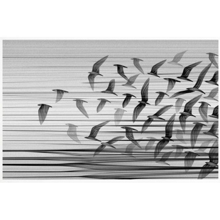 Migration South Landscape by Kai and Sunny