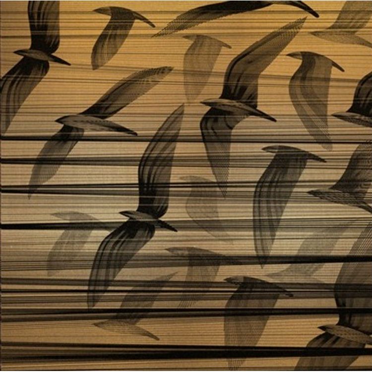 Migration South (Brass) by Kai and Sunny