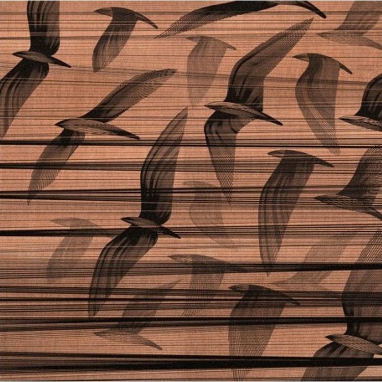 Migration South (Copper) by Kai and Sunny